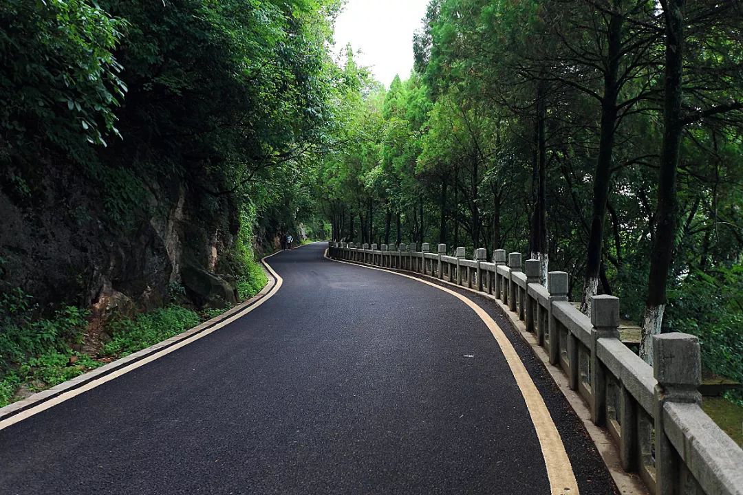 昆明適合徒步的12條線路：線路一昆明西山森林公園