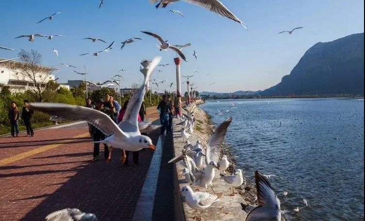 最適合冬季旅行的地方——昆明