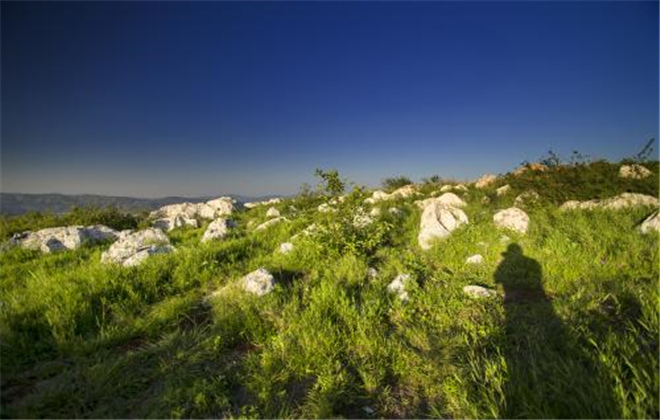 長(zhǎng)蟲山森林公園