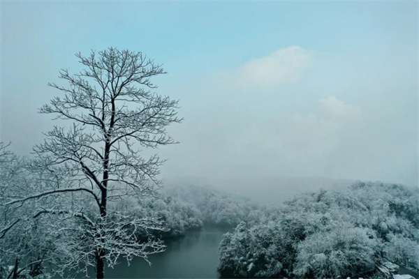 在銅鑼壩，來一場與風(fēng)雪邂逅的浪漫