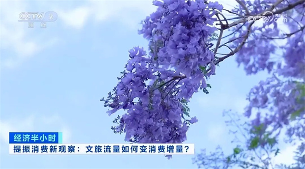 云南旅游,云南旅行社,云南團建公司,云南策劃公司,云南會議執(zhí)行公司,昆明旅游,昆明旅行社,昆明團建公司,昆明策劃公司,昆明會議執(zhí)行公司：央視13分鐘聚焦！昆明以花為媒提振消費 文旅流量變消費增量